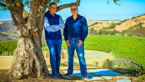 Exploring the Blue Attire Collection of the Treasury Wine Estates & Daou Deal - operatt.top Order Wine Online